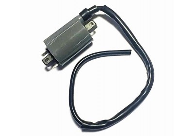 Бобина Yamaha, Aprilia, KYMCO, MALAGUTI, MBK (125 - 250cc) Бобина Yamaha, Aprilia, KYMCO, MALAGUTI, MBK (125 - 250cc)